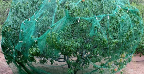 Agricultural nets